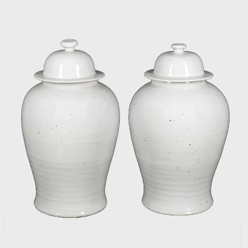 Pair of two white Chinese Ceramic Vases with Lid