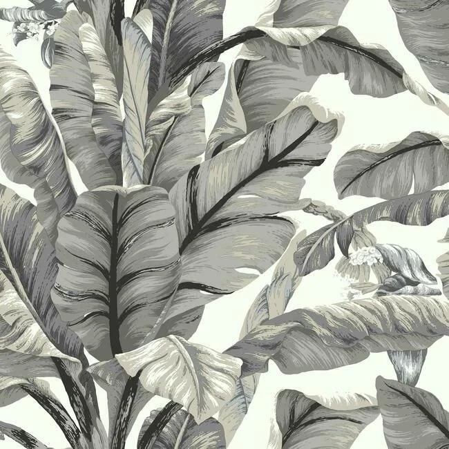 Banana Leaf Peel & Stick Wallpaper in White and Black by York Wallcoverings