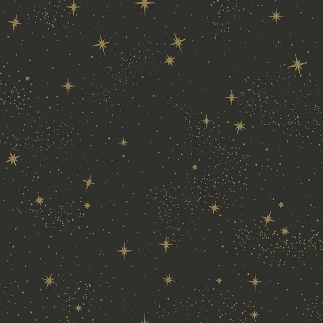 Upon A Star Peel & Stick Wallpaper in Black and Grey